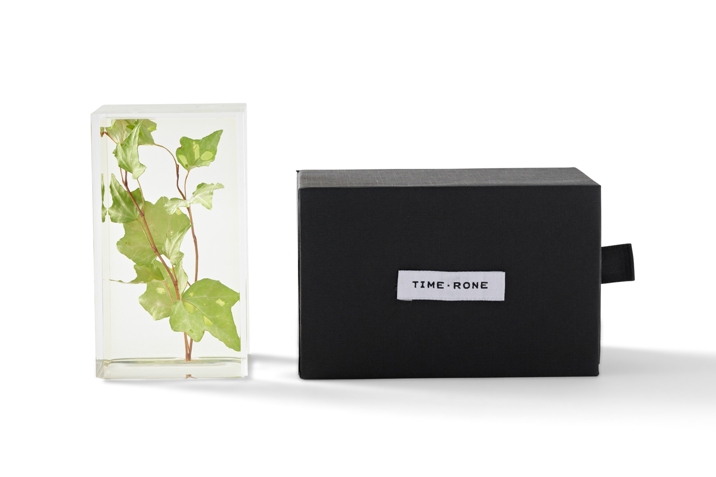 Ivy in Resin Paperweight - Flinders Street Station Ballroom Exhibition