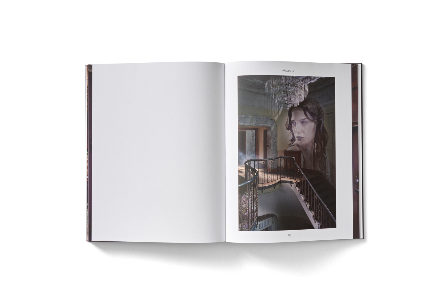 Australian Street Artist Rone Artist Book