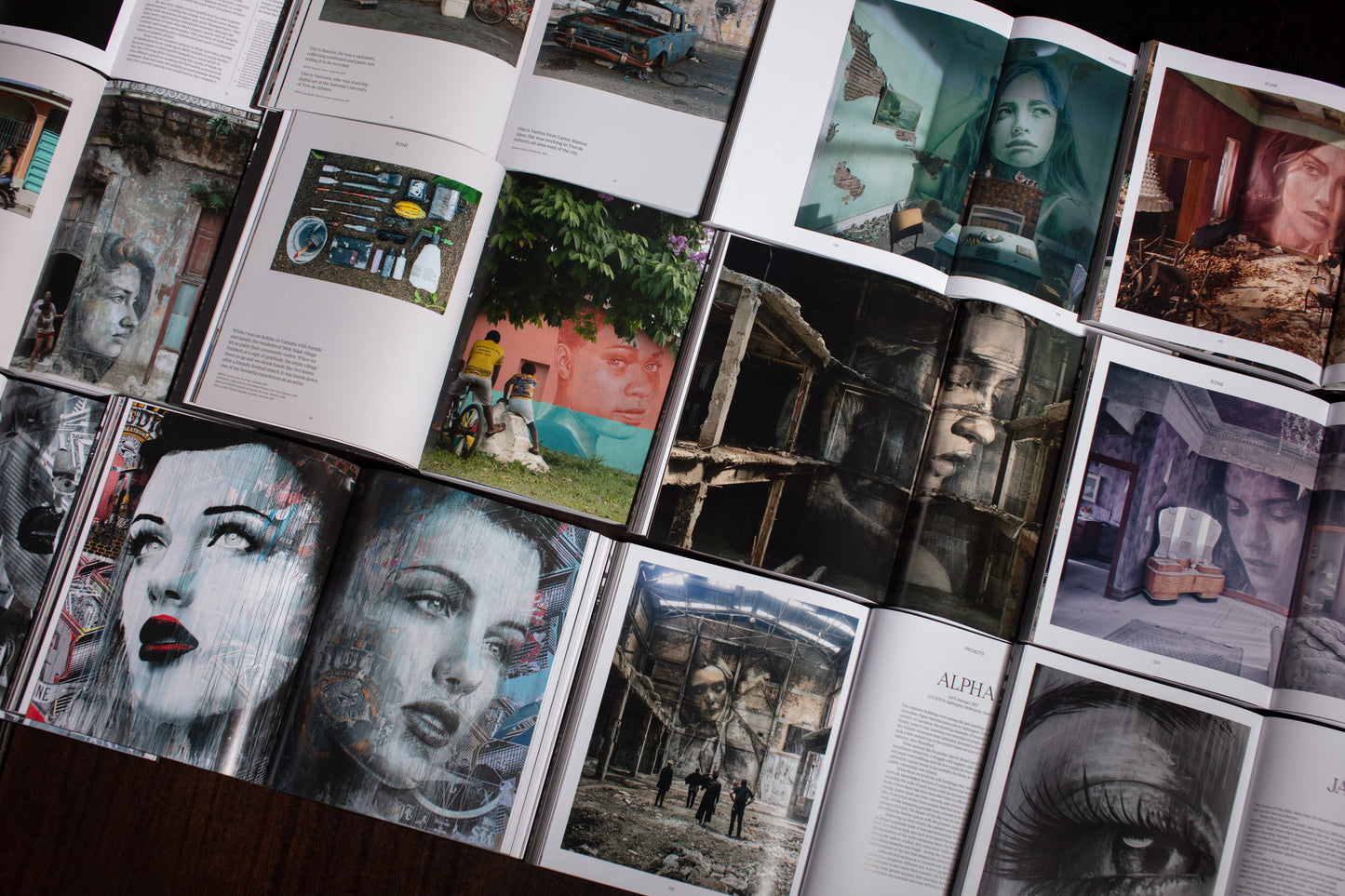 Australian Wall Art by Street Artist Rone Artist Book